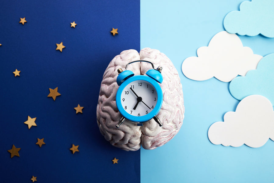 How Light and Darkness Affect Sleep